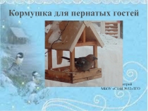Презентация к исследовательской работе Кормушка для пернатых гостей