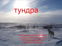 Презентация по окружающему миру на темуТундра
