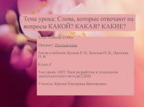 Урок русского языка по теме Слова, которые отвечают на вопросы какой? какая? какое? какие?
