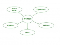 Презентация сабақ дүниетану 2 сынып