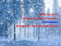 Презентация по окружающему мируСнежинка