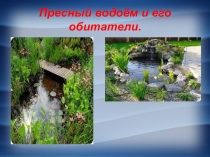 Презентация по окружающему миру на тему Пресный водоём