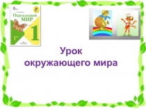 Презентация по окружающему миру 1 класс Моя семья