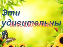 Презентация по биологии Эти удивительные насекомые