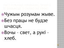 Прэзентацыя па беларускай мове Назоўнік: агульнае значэнне, марфалагічныя прыметы, сінтаксічная роля (10клас)