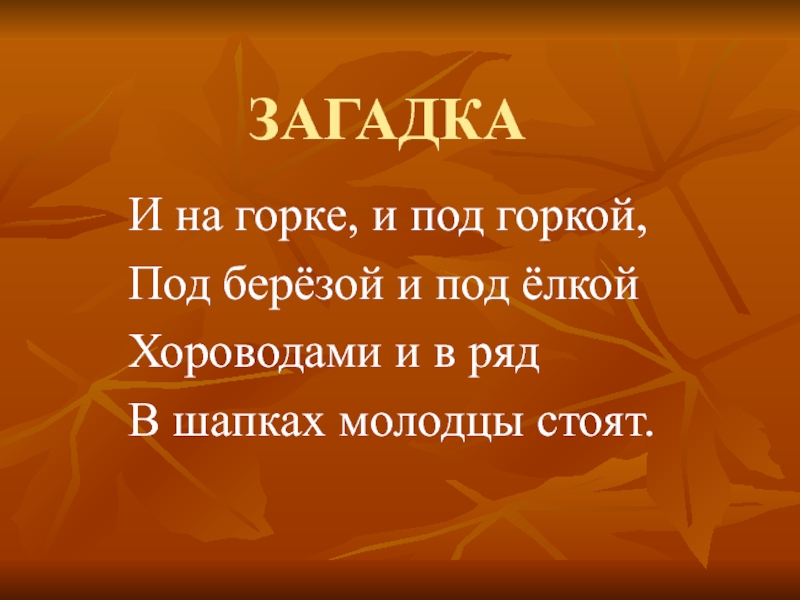 Презентация по окружающему миру на тему В царстве грибов ЗАГАДКАИ на горке, и под горкой,Под берёзой и под ёлкойХороводами и в рядВ шапках молодцы стоят. ЗАГАДКАИ на горке, и под горкой,Под берёзой и под ёлкойХороводами и в рядВ шапках молодцы стоят.