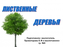 Лиственные деревья
