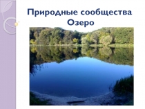 Презентация по окружающему миру природное сообщество