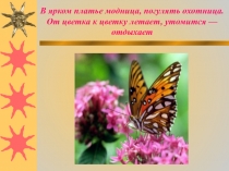 Презентация В мире бабочек