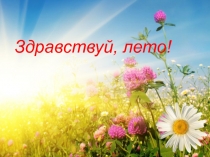 Презентация к занятию про лето