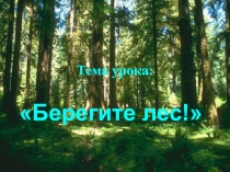 Презентация по окружающему миру на тему Берегите лес