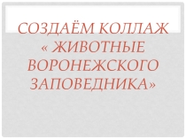 Презентация по окружающему миру . создаём коллаж Животные Воронежского края