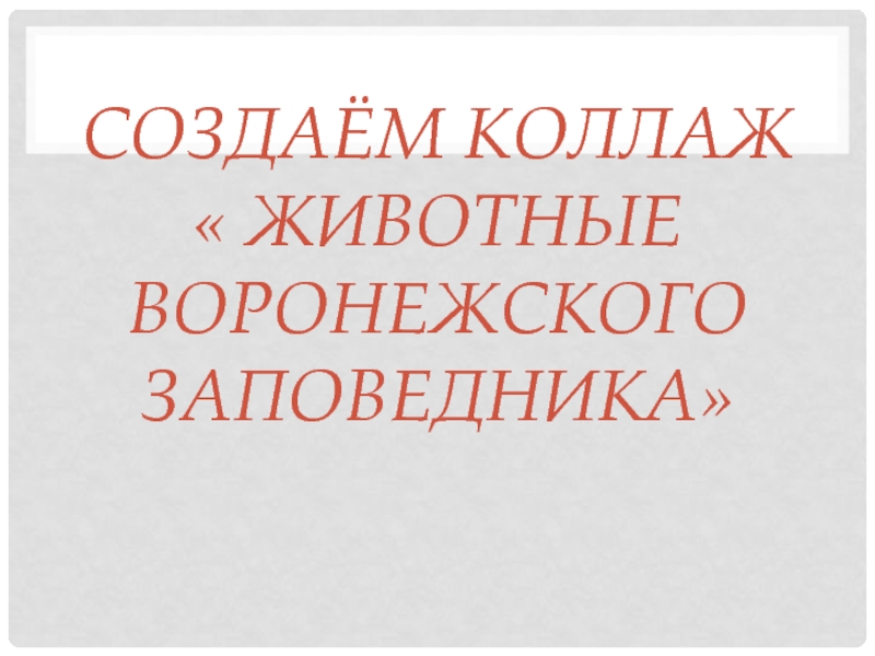 Презентация Презентация по окружающему миру . создаём коллаж Животные Воронежского края