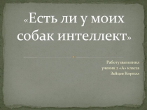 Проект-исследование Интеллект моих собак