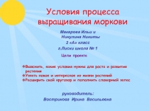 Проект по окружающему миру на тему :Условия проращивания семян моркови.