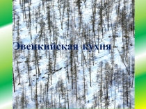 Презентация по культуре эвенков Традиционная кухня эвенков