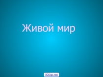 Презентация. Живой мир.Жизнь животных зимой(4 класс)