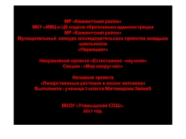 Презентация исследовательского проекта на тему Лекарственные растения в жизни человека