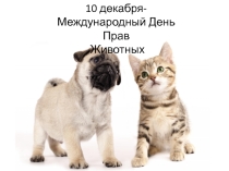 Презентация Международный день защиты прав животных
