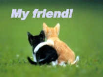 Презентация по английскому языку на тему My friend!