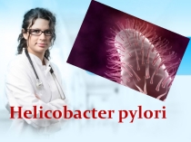 Презентация для студентов медицинского колледжа Helikobakter pilori