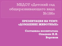 Презентация для дошкольников Домашние животные