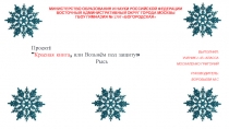 Презентация по проектной деятельности к уроку окружающего мира на тему:  Красная книга или Возьмём под защиту. Рысь . 2 класс. УМК Школа России.