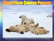 Презентация по ФЦКМ Животные Севера