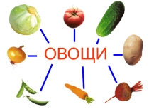 Презентация для логопедического занятия. Лексическая тема Овощи.