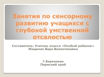 Занятия по сенсорному развитию с обучающимися с глубокой умственной отсталостью