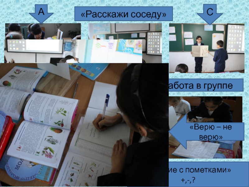 Презентация по уроку познания мира «Расскажи соседу»АБС«Чтение с пометками»+,-,?Физ.минутка с использованием ИКТРабота в группе«Верю – не верю» «Расскажи соседу»АБС«Чтение с пометками»+,-,?Физ.минутка с использованием ИКТРабота в группе«Верю – не верю»