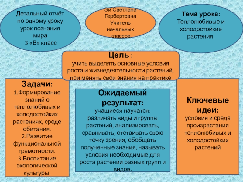 Презентация на тему Детальный отчёт по одному урокуурок познания мира 3 Детальный отчёт по одному урокуурок познания мира 3 «В» классЭй Светлана ГербертовнаУчитель начальных классовТема урока:Теплолюбивые и