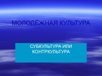 Презентация по обществознанию на тему Молодёжная субкультура