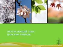 Царство грибов Презентация по окружающему миру