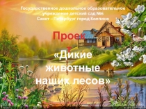 Паспорт проекта средняя группа