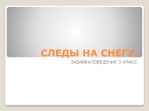 Презентация по забайкаловедению на тему  Следы зверей ( 3 класс)