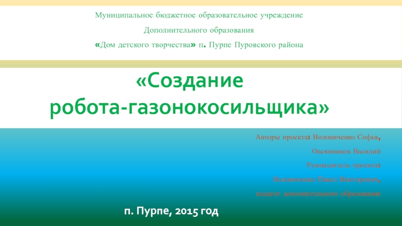 Презентация на тему Авторы проекта: Воловиченко Софья, Авторы проекта: Воловиченко Софья,