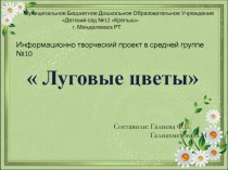 Тип проекта: Информационно – творческий.
