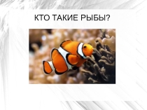 Презентация по окружающему миру Кто такие рыбы