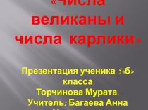 Презентация по математике на тему : Числа великаны и числа карлики