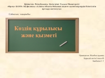 Презентация Мидың құрылысы, қызметі