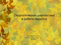 Педагогическая диагностика в работе учителя для педагогов