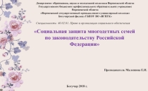 Социальная защита многодетных семей по законодательству Российской Федерации