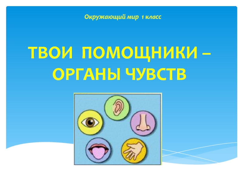 Презентация Презентация по окружающему миру на тему: Наши органы чувств (1 класс)