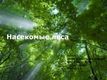 Презентация по окружающему миру на тему  Насекомые леса ( 2 класс)