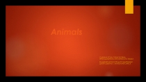 Презентация по английскому языку Домашние и дикие животные