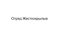 Презентация по биоологии на тему Отряд жесткокрылые (7 класс)