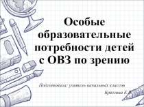 Работа с детьми с ОВЗ по зрению