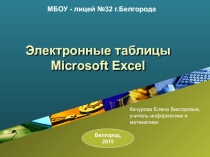Электронные таблицы Microsoft Excel 2003
