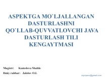 Презентация по информатике на тему java